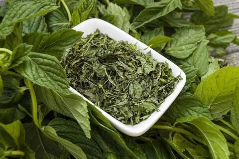 تصویر 3 از قیمت برگ نعنا خشک + فروش عمده